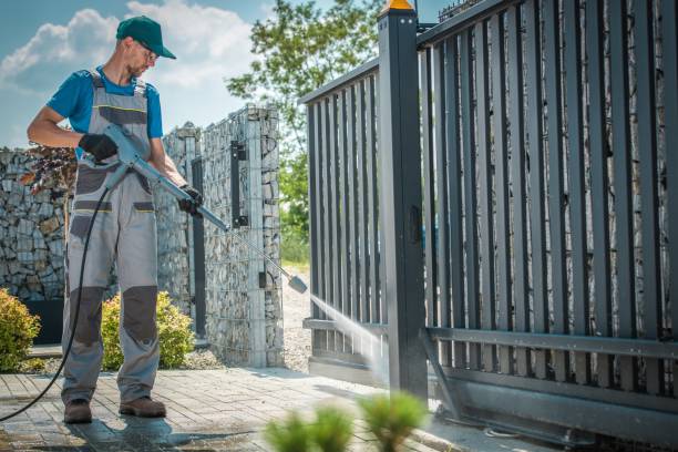Best Roof Washing  in Deephaven, MN